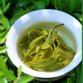 Té verde de Yunnan hojas grandes